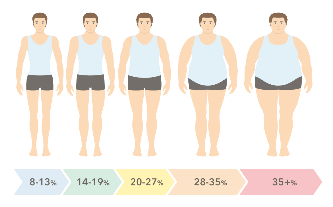 Body fat chart for men
