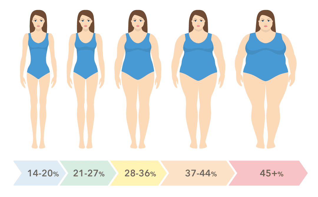 Body fat chart for women