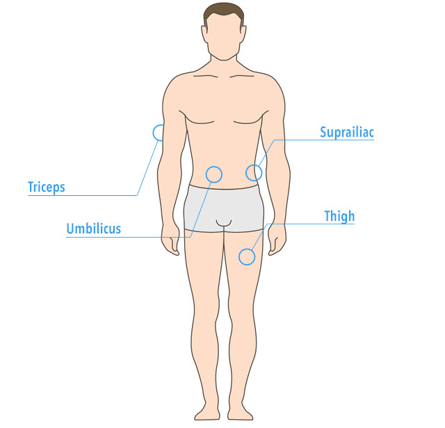 Body fat measurements chart
