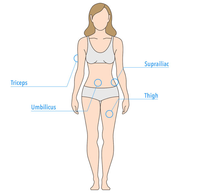 Body fat measurements chart