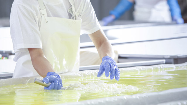 The Science of Cheese: All You Need To Know
