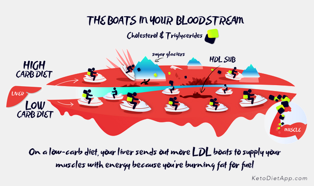 Is Cholesterol Corrupted by the Dark Side? Is Cholesterol Corrupted by the Dark Side?