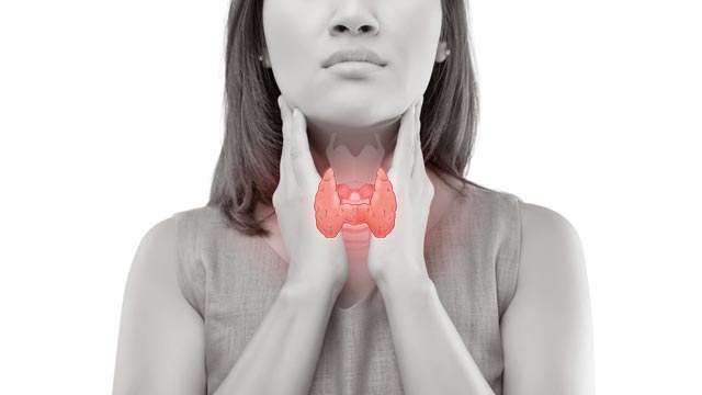 Are Keto and Low-Carb Diets Suitable for People With Thyroid Disease? Are Keto and Low Carb Diets Suitable for People with Thyroid Disease?