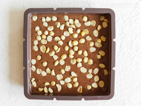 High-Protein Chocolate Macadamia Halva (low-carb, sugar-free, dairy-free) High-Protein Chocolate Macadamia Halva