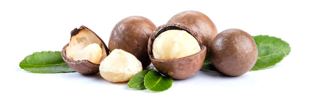 The Fatome: What is the Best Source of Fat on a Ketogenic Diet?