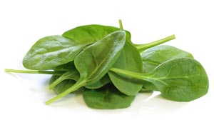 Top 11 Nutrient-Dense Low-Carb and Keto Foods