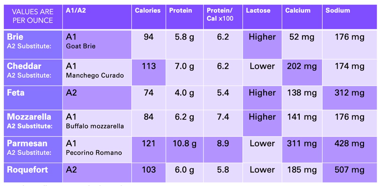 The Science of Cheese: All You Need To Know