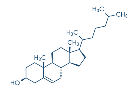 Is Cholesterol Corrupted by the Dark Side? Is Cholesterol Corrupted by the Dark Side?