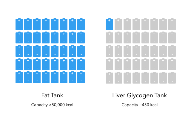 Do Ketones Matter? Ketones and Weight Loss: Do Ketone Levels Matter?